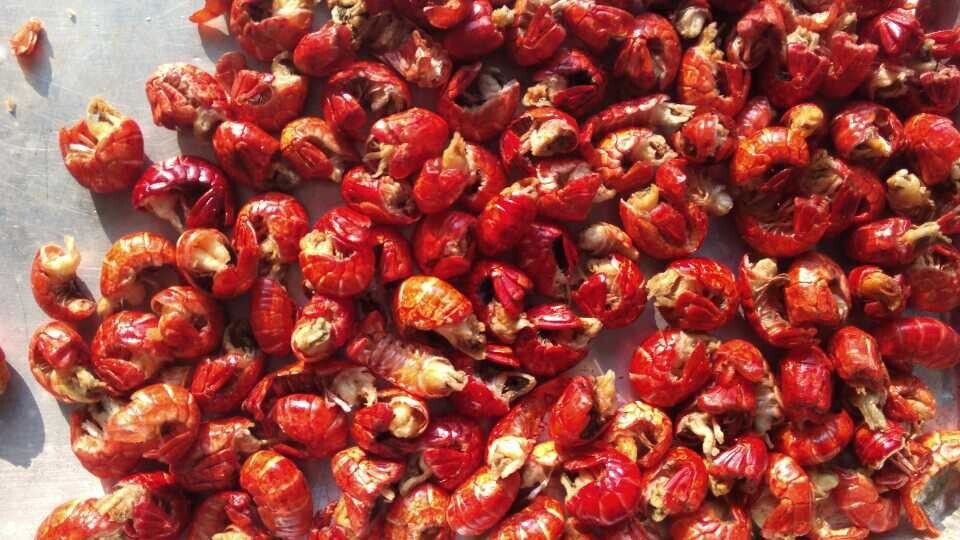 5b680aa826e44.jpg 5b680aa826e44.jpg