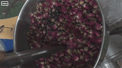 5bfe100492860.gif 磨粉機.gif