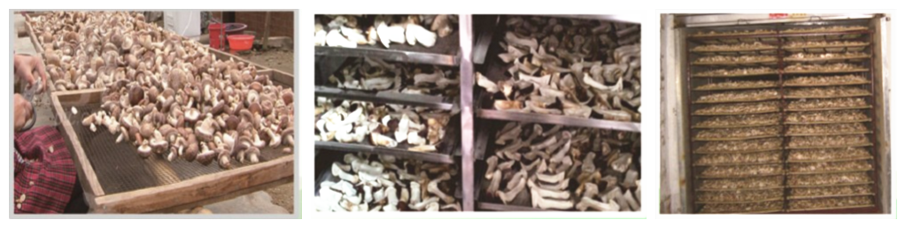 5c11c33ec3b87.png 5c11c33ec3b87.png